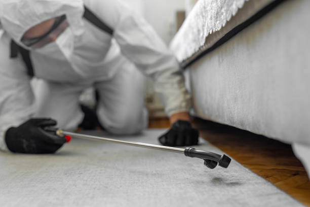 Professional Termite Control technician working in Westbrook, ME