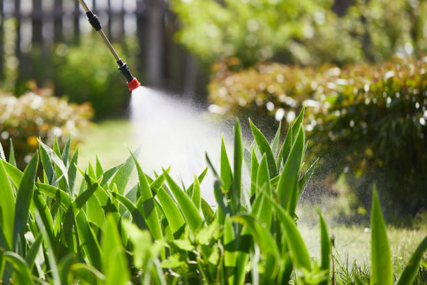 24/7 Emergency Termite Control experts in Westbrook, ME